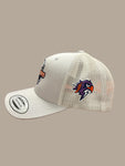 Playoff Hat