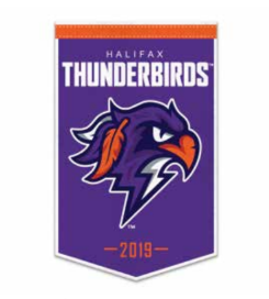 10' x 15' Felt Banner