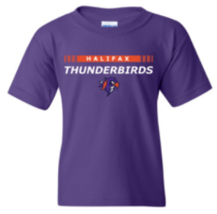 BarDown Purple Ribbon Show Adult & Youth Tee