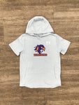 Under Armour Youth Grey Short Sleeve Hoodie